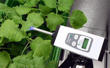 Monitoring Pen植物叶绿素荧光测量仪