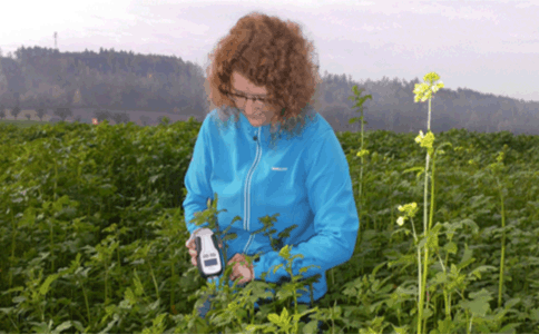 PlantPen植物指数测量仪