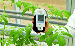 PolyPen手持式植物光谱仪