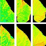 PlantScreen高通量植物表型成像分析系统（野外版）