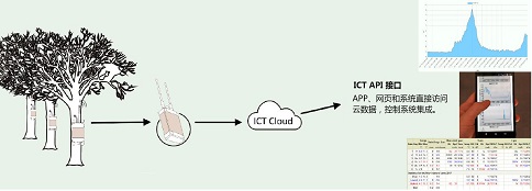 ICT 无线监测网络系统