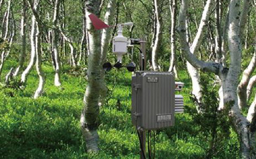 WS-FP02 森林防火预警监测系统