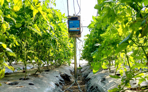 GP2土壤剖面水分温度监测系统在天津市农业科学院顺利验收