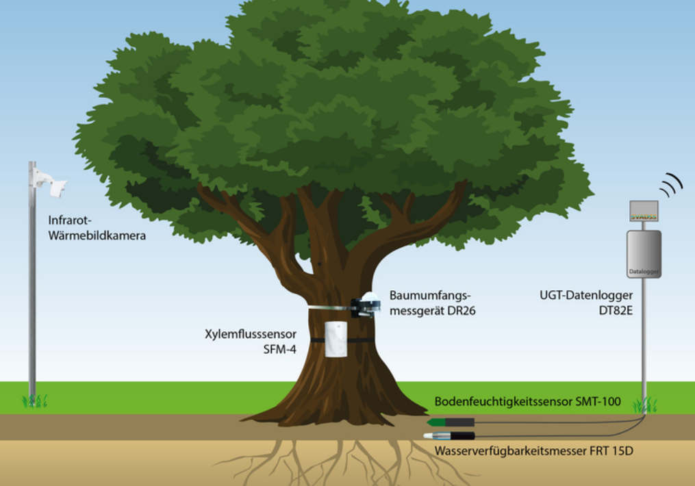 树木监测系统