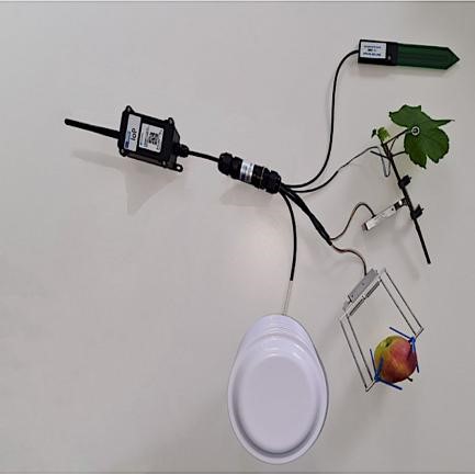 植物无线数据传输测量系统