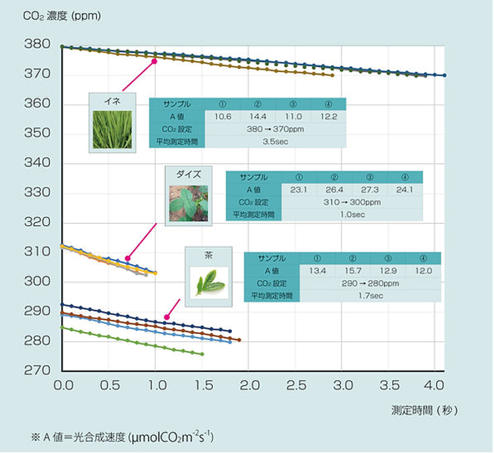 植物光合作用速率测量仪