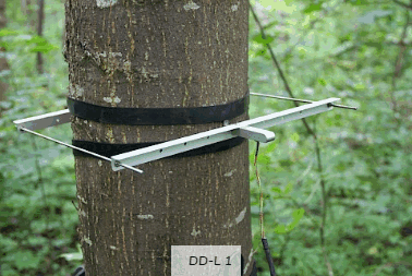 DD-L1直径生长测量传感器