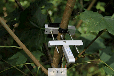 DD-S1直径生长测量传感器