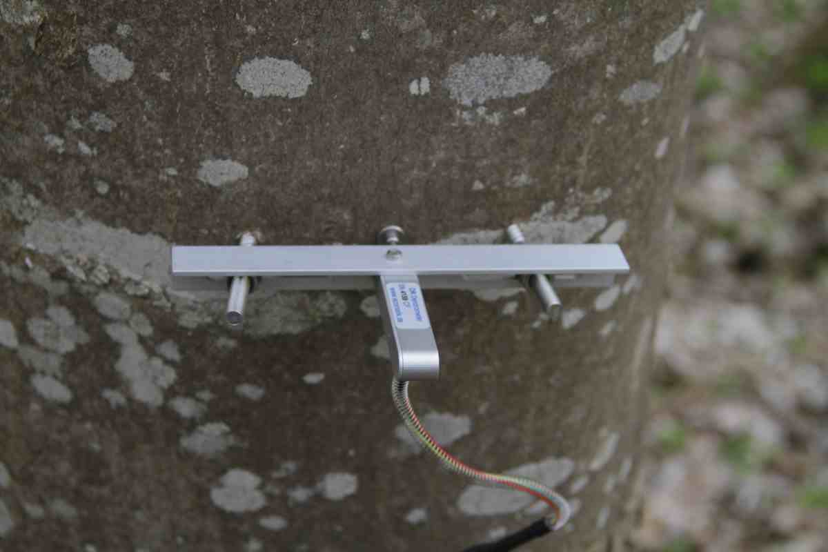 DD-S1直径生长测量传感器