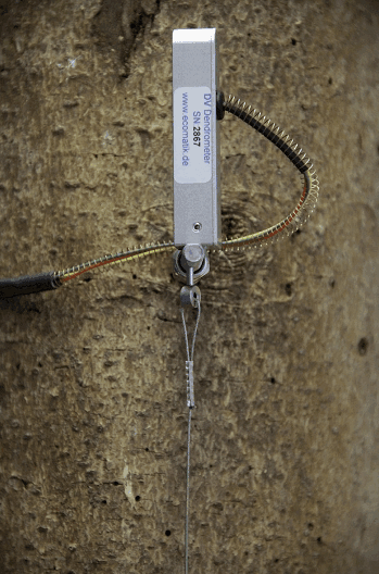 DV茎秆纵向变化测量传感器