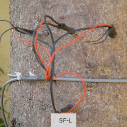 SF-L茎流传感器