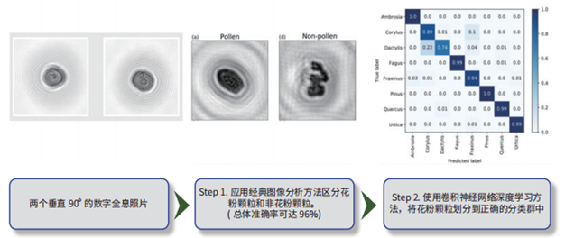 数字全息成像测量原理