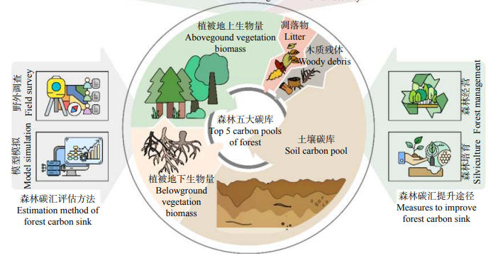 森林碳汇监测系统