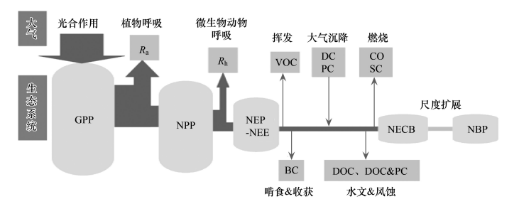 陸地生態(tài)碳匯綜合解決方案