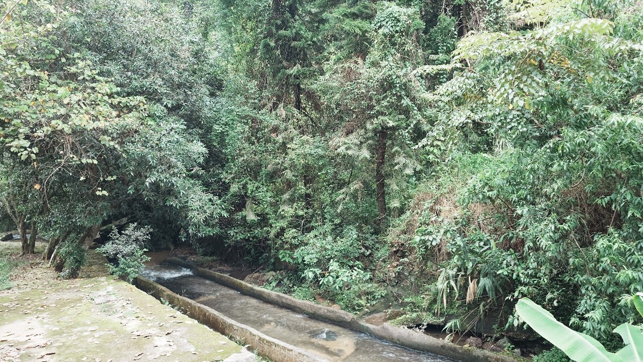 桂山风景区