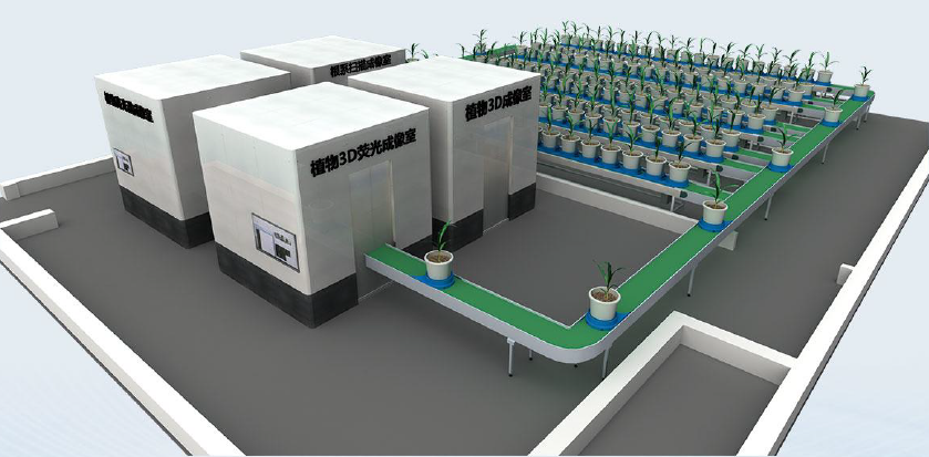 高通量植物表型测量系统 高通量植物表型测量系统