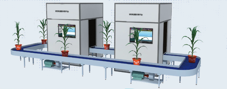 高通量植物表型测量系统 高通量植物表型测量系统