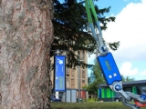 TRU树木雷达、Picus 3和TreeQinetic树木拉伸测试仪落户长春市园林植物保护站