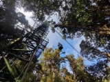 亚热带森林生态系统长期观测与研究暨哀牢山站建站四十周年学术研讨会成功举办