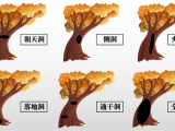 古树树洞怎么来的?该如何修补?