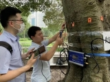 130万株行道树有必要全面体检,效率和成本是难题,在研“怪车”有望解决