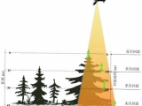 激光雷达的测树原理和应用
