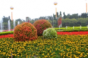 异型花柱植物自交发育信号首次发现