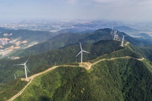 两会提到的碳达峰、碳中和意味着什么？