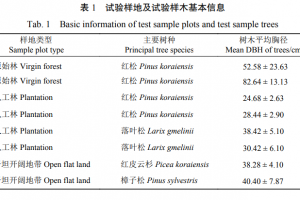 基于树木雷达的小兴安岭典型树种 粗根分布及其影响因素研究