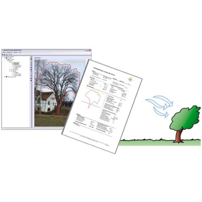 Arbostat树木抗风分析软件