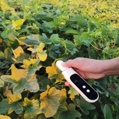 DJ-0352植物叶绿素检测仪