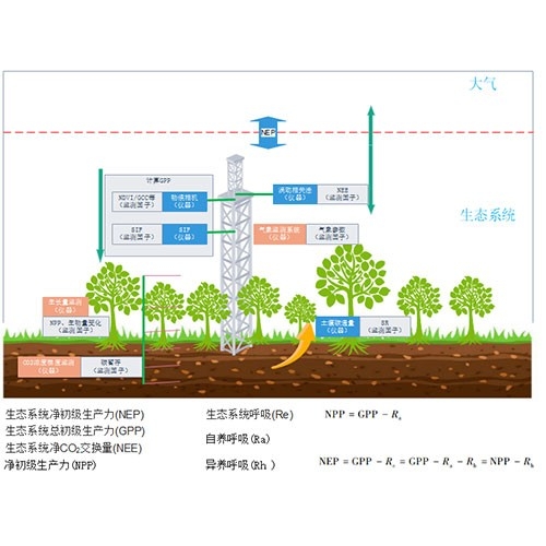 DJ-6319B陆地生态碳汇综合解决方案