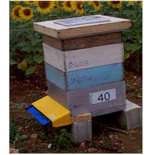 BeeSCAN蜜蜂计数器