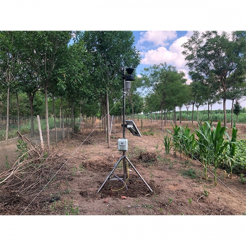 DJ-6393植物霜冻预警和监测系统