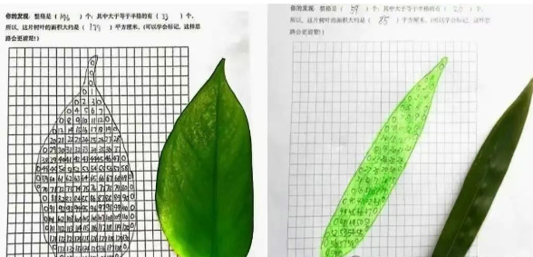 方格纸法