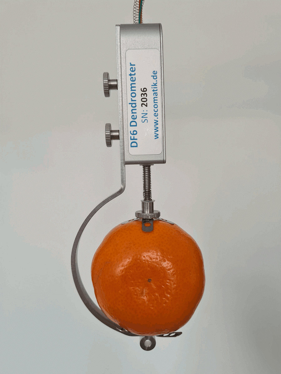 水果、蔬菜生長變化記錄儀