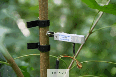 DD-S2直径生长测量 DD-S2直径生长测量