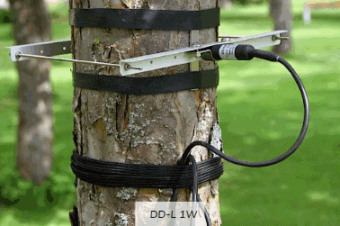 DD-L1W直径生长测量 DD-L1W直径生长测量