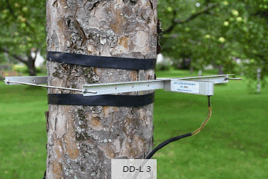 DD-L3直径生长测量 DD-L3直径生长测量