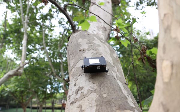 行道树倾斜智能监测系统