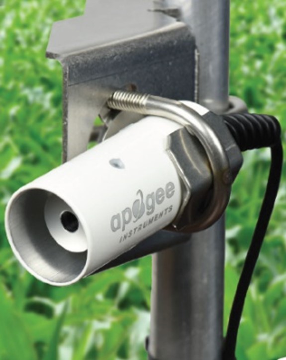 红外冠层 红外冠层