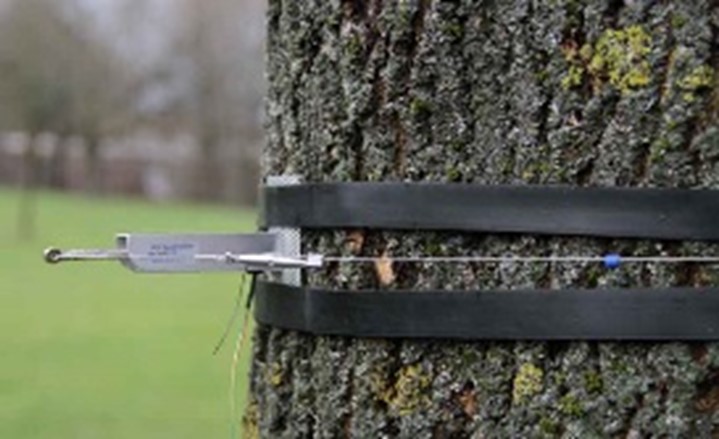 茎秆生长测量传感器 茎秆生长测量传感器