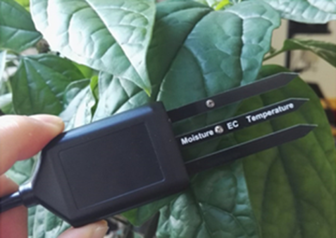 土壤水分、温度、电导率传感器 土壤水分、温度、电导率传感器