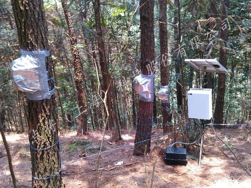 植物生理生态 植物生理生态