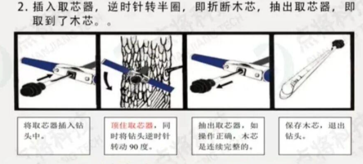 树木生长锥全攻略 树木生长锥全攻略