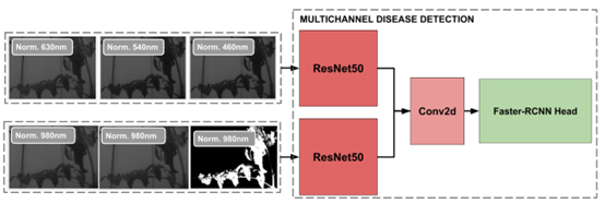 多通道疾病检测模块 多通道疾病检测模块