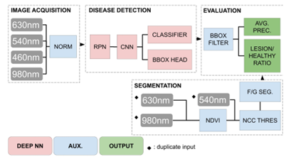 疾病检测 疾病检测