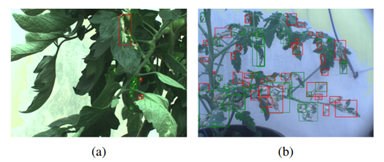 使用Faster-RCNN的检测结果 使用Faster-RCNN的检测结果
