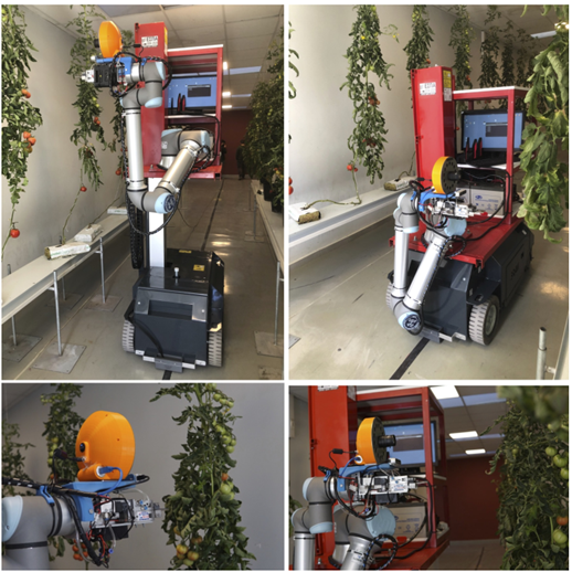 机器人平台 机器人平台