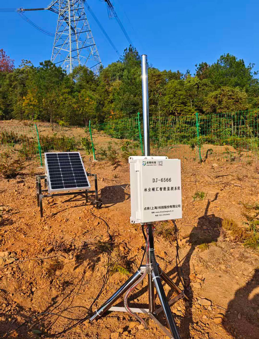 林业碳汇智能监测